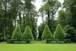 Podas y Talas en altura de árboles en altura Provincia de Madrid